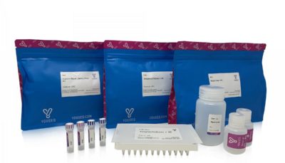 The Coronavirus NGS kit is now available