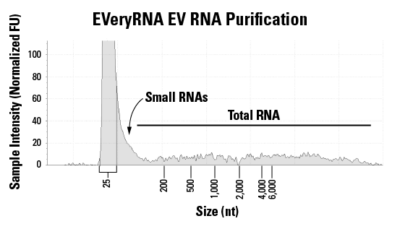 Isolate total RNA from EVs with EVeryRNA