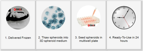 Ready-to-use 3D Cell Culture Spheroids