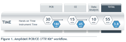 Amplidex PCR/CE CFTR kit workflow